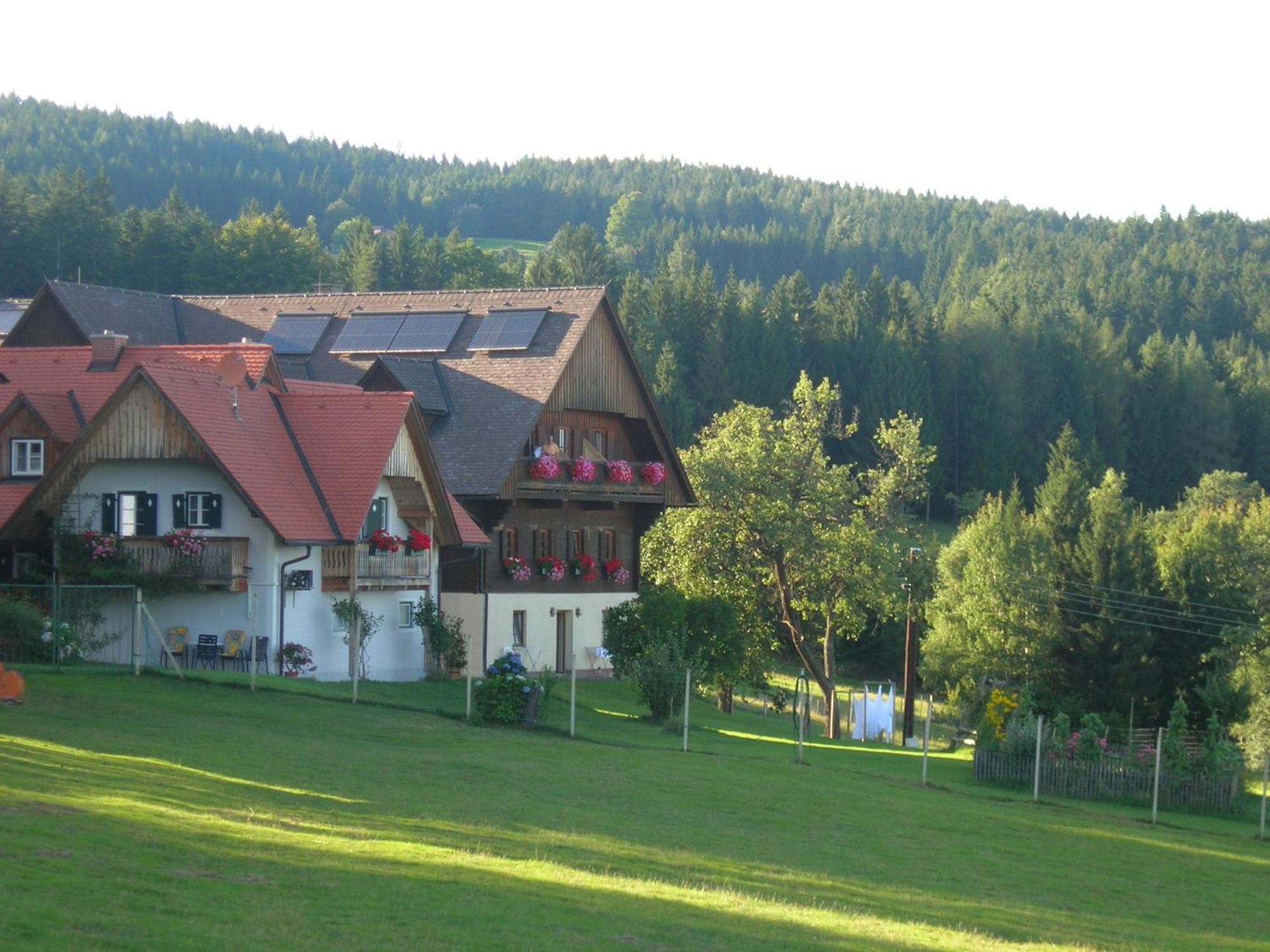 Bioalm Wassermann Wirt Hotel Sommereben Bagian luar foto